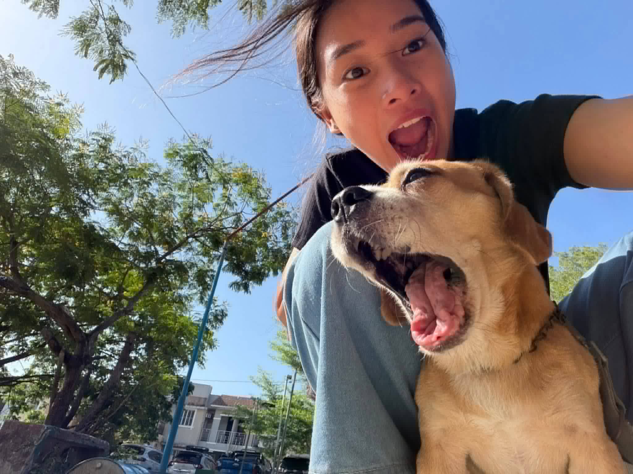 cute Photo